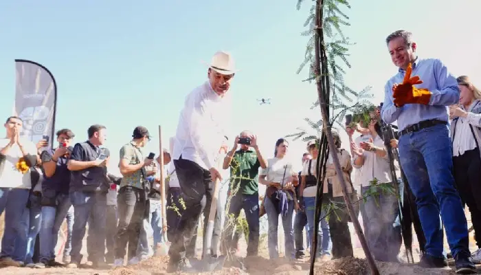 Gobernador Durazo proyecta legado ambiental con plantación de más de 4 mil árboles en La Sauceda